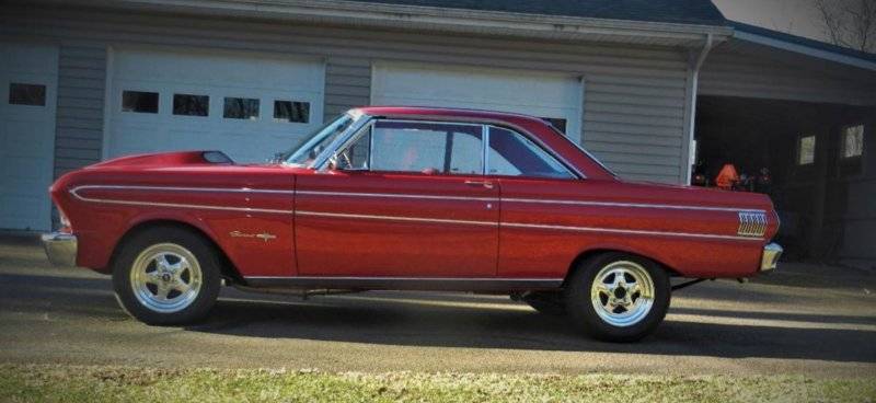 Falcon - Blown Up Picture.JPG