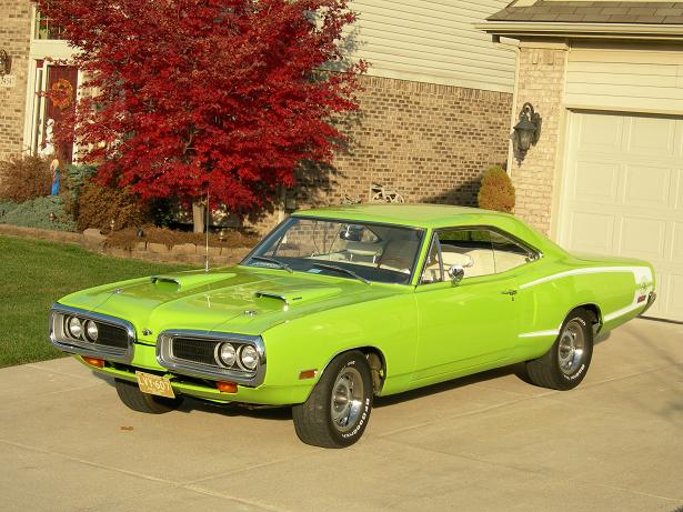 fall 08 14 lime.JPG