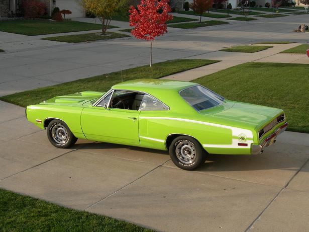 fall 08 7 lime.JPG