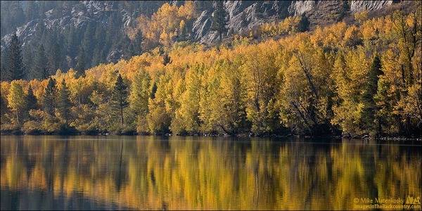 fall-colors-101217-09-web.jpg