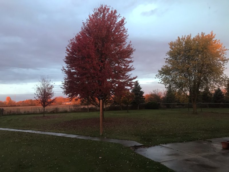 Fall morning 10-25-24.jpg