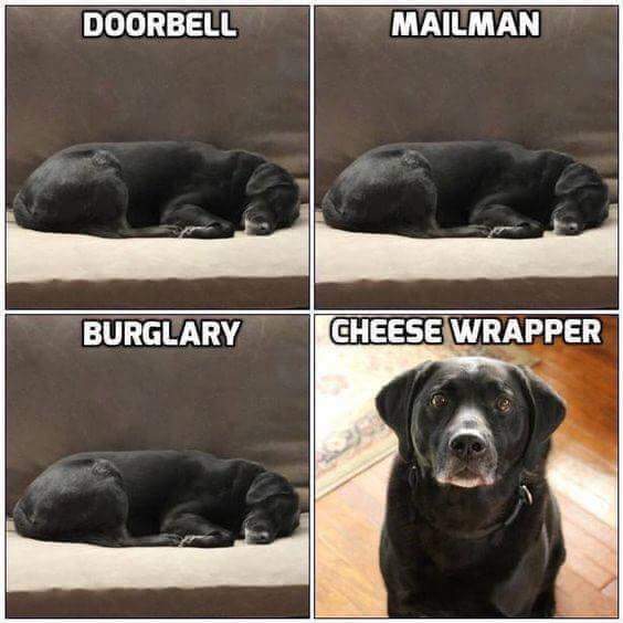 FB_IMG_1538421541610.jpg