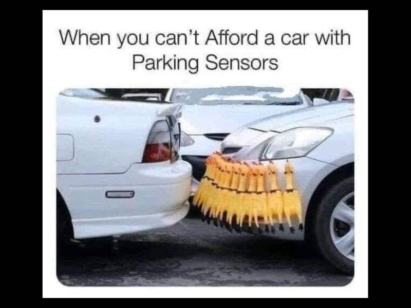 FB_IMG_1681156625312.jpg