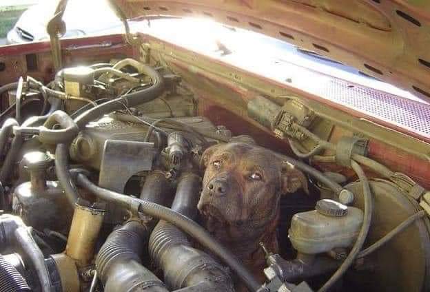 FB_IMG_1684062283016.jpg