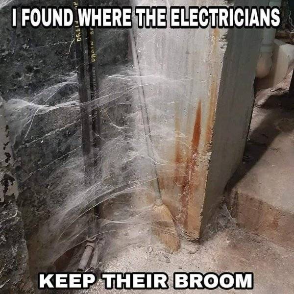 FB_IMG_1688987600967.jpg