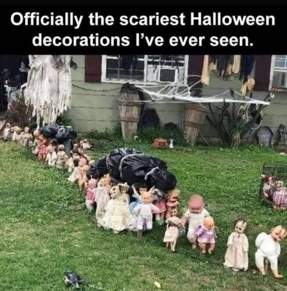 FB_IMG_1694605967226.jpg