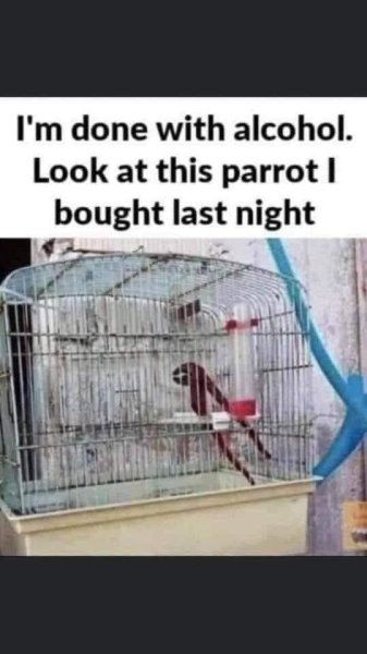 FB_IMG_1749454997570.jpg