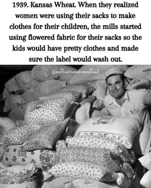 FB_IMG_1760287101076.jpg