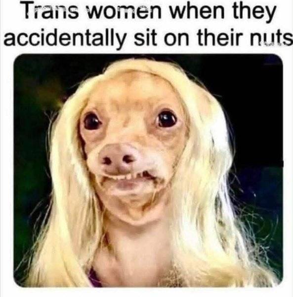 FB_IMG_1761067328101.jpg