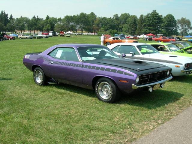 FC7 best of show at redbarns 08.jpg