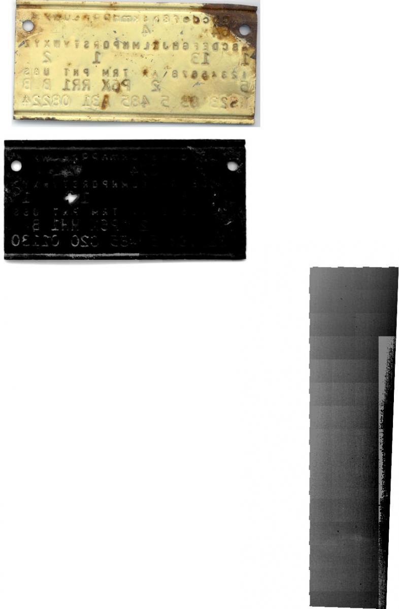FENDERTAGS.jpg