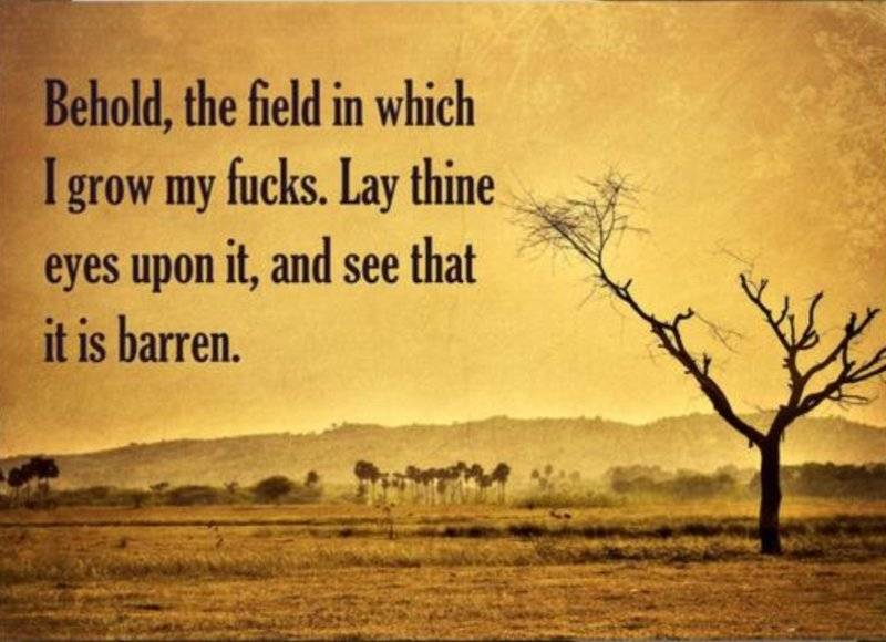 field of fucks (2).jpg