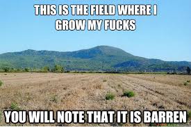 field of fucks.jpg