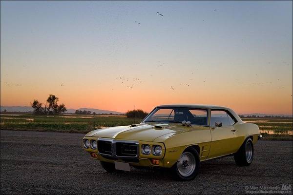 firebird-nwr-110216-10.jpg