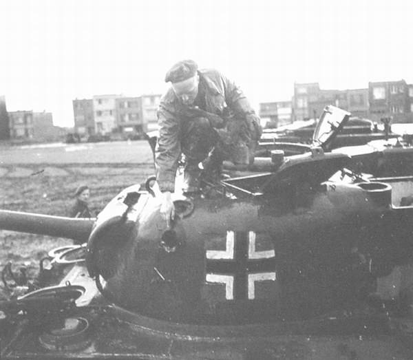 firefly-26.jpg