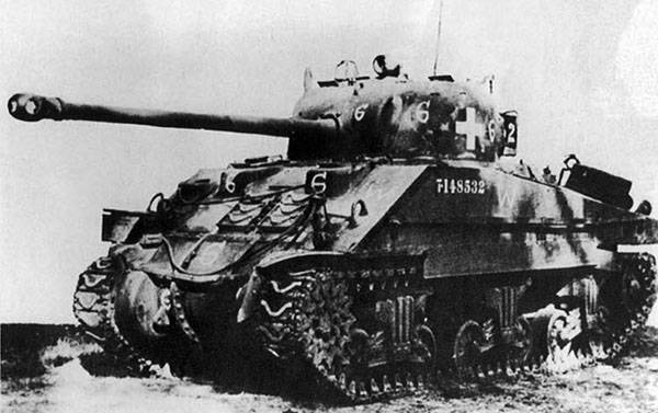 firefly-28.jpg