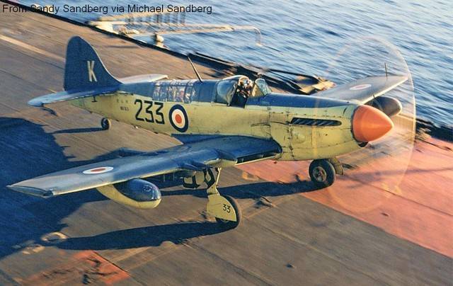 Firefly_VX373.sized.jpg