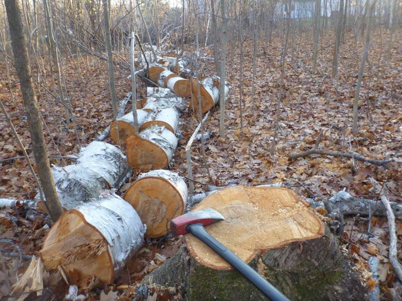 firewood2015 027.JPG