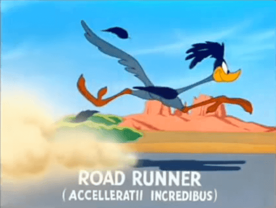 FirstVersions_Road-Runner_1.png