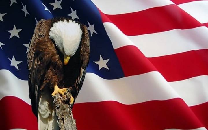 Flag Bald Eagle US Symbol Bowing his head.jpg