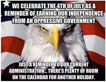 Flag & Eagle 4th of July Reminder to an oppressive current govt..jpg