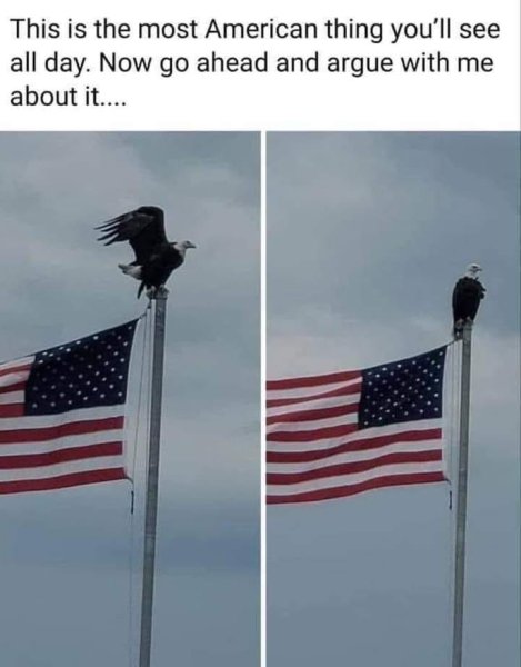 Flag with Eagle.jpg