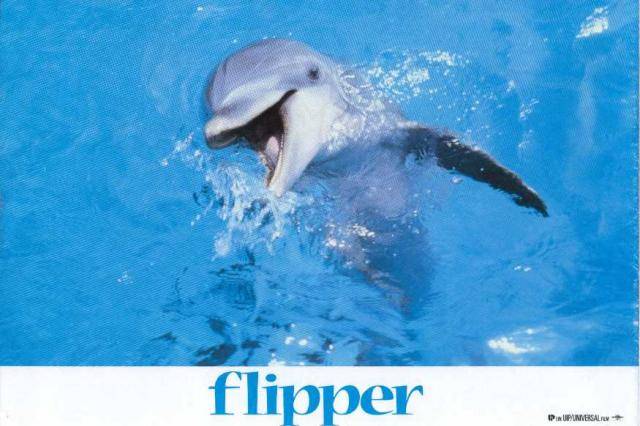 Flipper_zpsbb4c6220.jpg