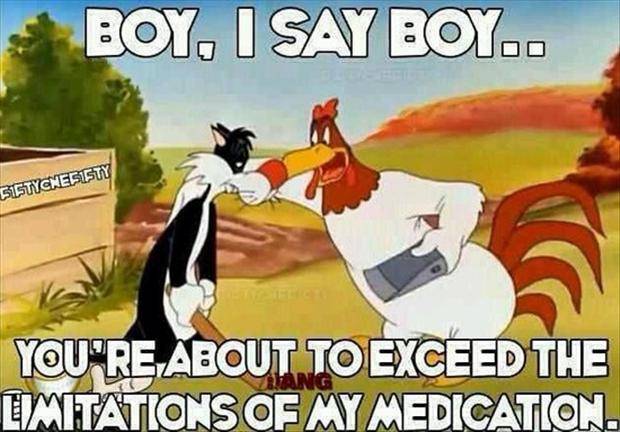 Foghorn Leghorn.JPG