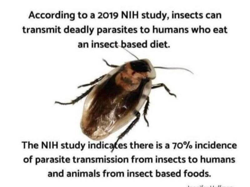 Food_Destruction_32_bugs_pass_deadly_parasites.jpeg