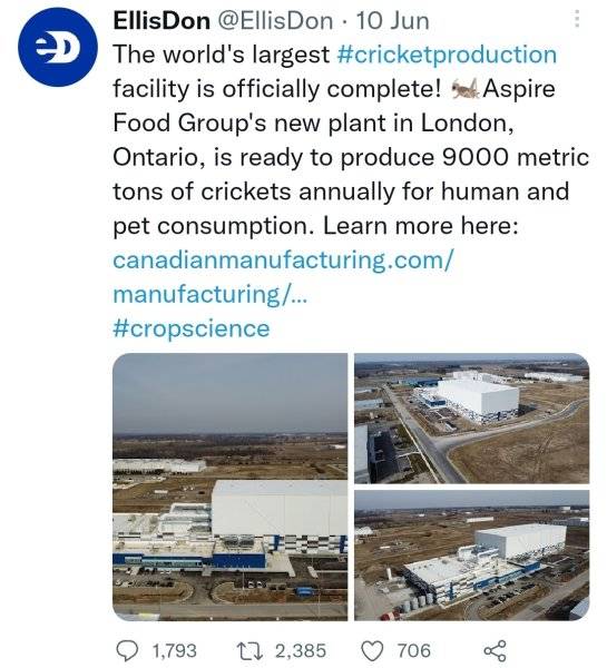 Food_Destruction_33_cricket_production_expanding.jpeg