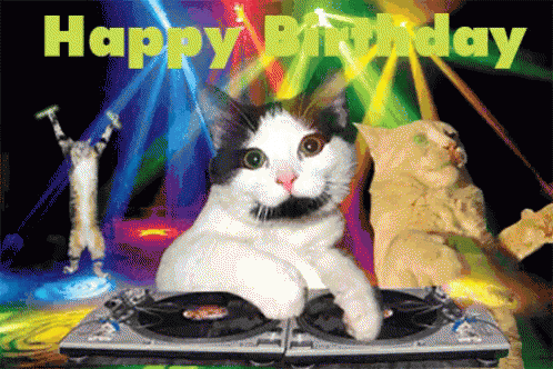 Funny-Birthday-Gif-DJ-Cat.gif