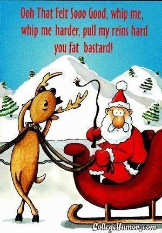 Funny-Christmas-Card-Messages-141.jpg