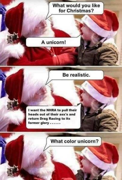 Funny Christmas Unicorn.jpg