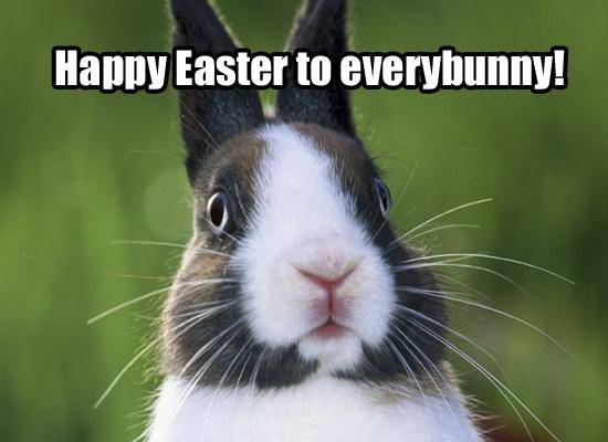 Funny-Easter-Images-1.jpg