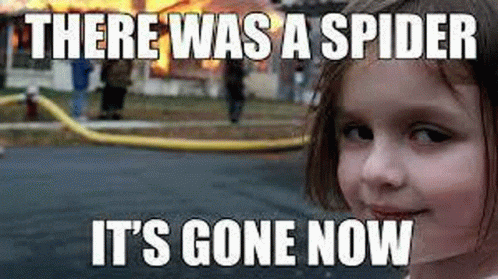 funny-meme.gif