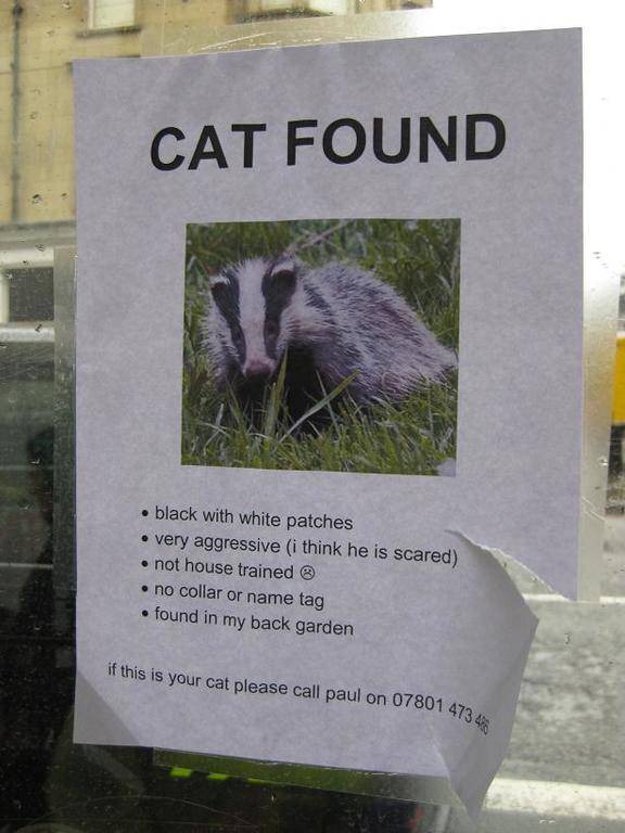 funny-street-signs-9.jpg