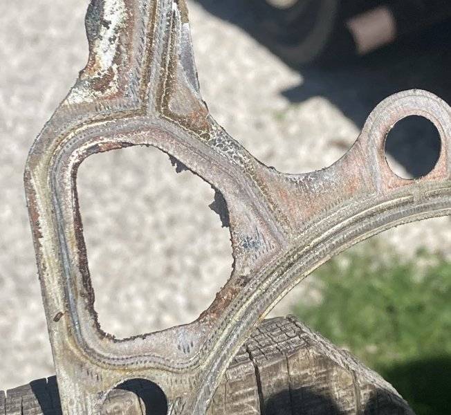 Gasket-01-a1.jpg
