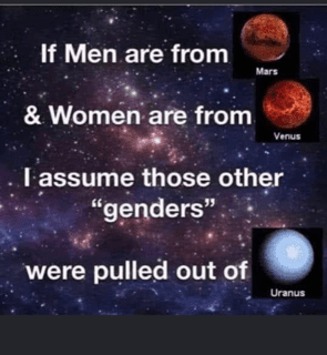 Genders.png