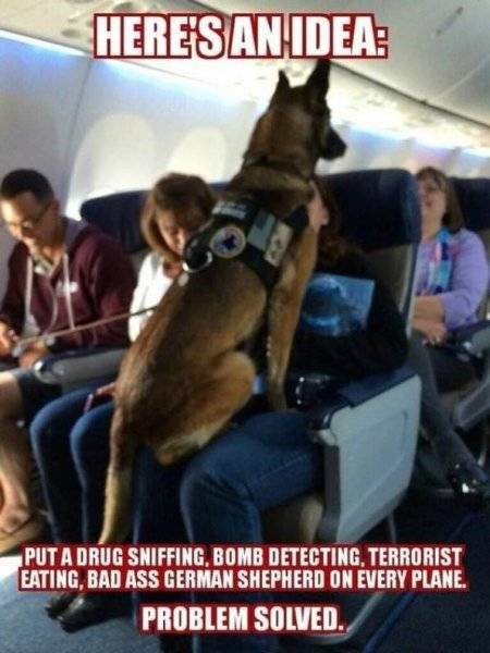 German Shepard Service Dog.jpg