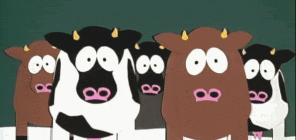 giphy-1.gif