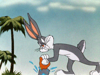 giphy (15).gif