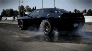 giphy (18).gif