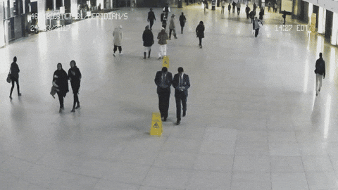 giphy (26).gif