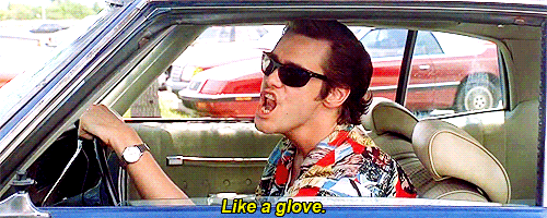 giphy (3).gif