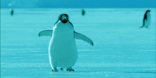 giphy.gif?cid=ecf05e47rga33bbi5nak2sj3apox03kl2k03oa232rjb2j86&rid=giphy.gif