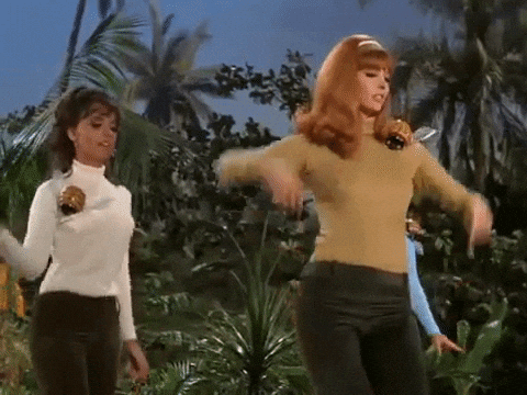 giphy.gif
