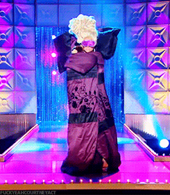 giphy.gif