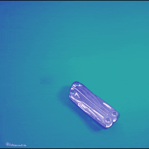 giphy.gif