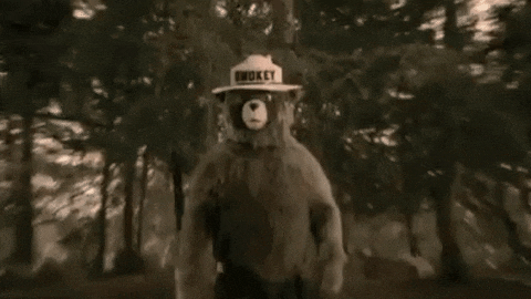 giphy.gif
