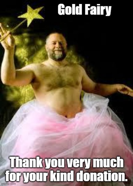 Gold Fairy donation.jpg